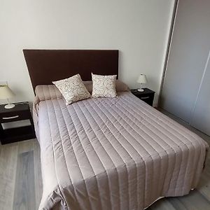 Departamento Alsina Y Falucho